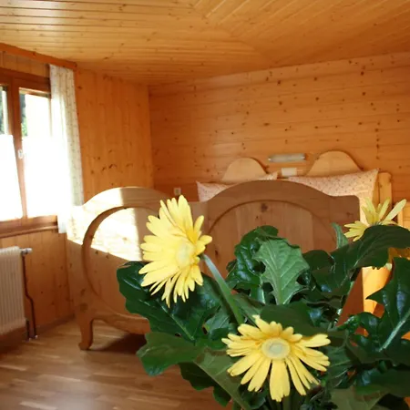 Apartment Vendula Montafon *